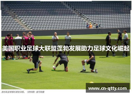 美国职业足球大联盟蓬勃发展助力足球文化崛起